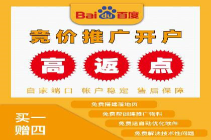 成功企业SEM竞价代运营案例研究